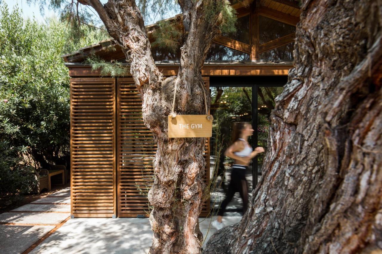 Cretan Malia Park A Member Of Design Hotels 外观 照片